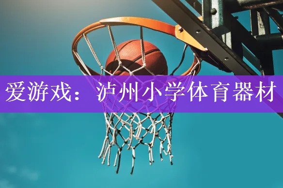 <strong>爱游戏：泸州小学体育器材</strong>