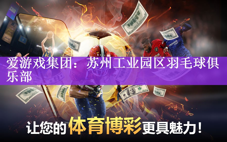 爱游戏集团：苏州工业园区羽毛球俱乐部