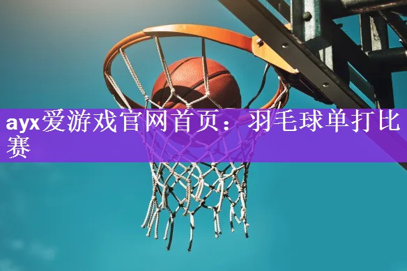 羽毛球单打比赛