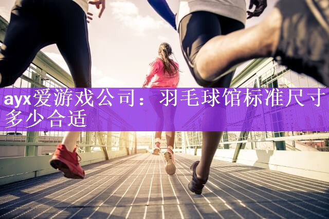 羽毛球馆标准尺寸多少合适