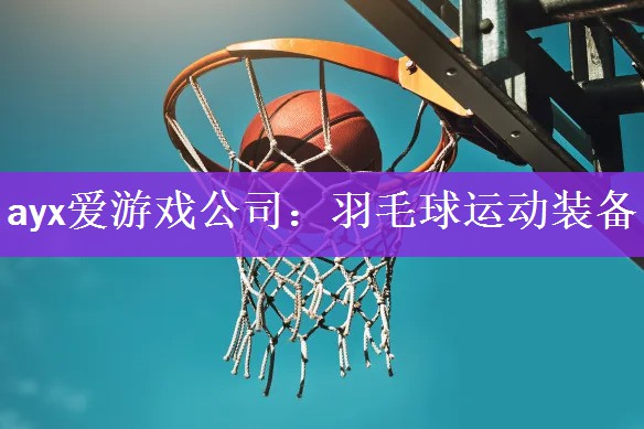 羽毛球运动装备